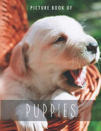 Picture Book of Puppies For Alzheimer's Patients and Seniors with Dementia.