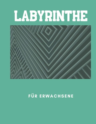 Labyrinthe Für Erwachsene 100 Lustige Rätsel Für Erwachsene und Jugendliche