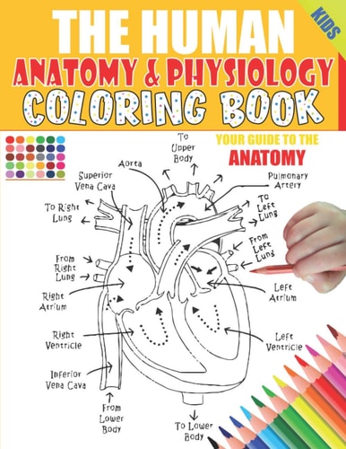 The Human Anatomy and Physiology Coloring Book 50+ Illustrations in an Activity Coloring Book for Kids and Teens, Great Christmas, Thanksgiving, Birthday Gift for Medical Students, Coders and Paramedics, Color Yourself, Structure and Function Smart Anatom