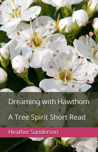 Dreaming with Hawthorn A Tree Spirit Short Read