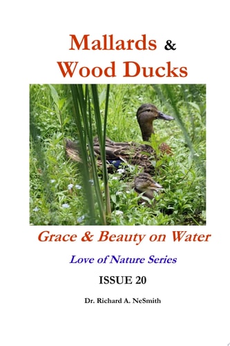Mallards & Wood Ducks: Grace & Beauty on Water