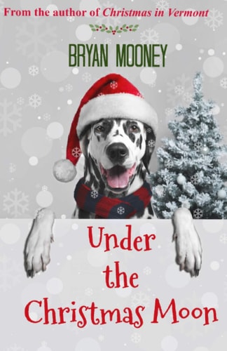 Under the Christmas Moon