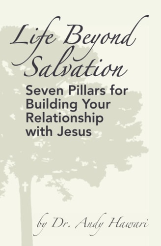 Life Beyond Salvation Seven Pillars for Building Your Relationship with Jesus