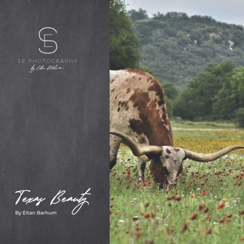 Texas Beauty Longhorn and Texas Photography by Eitan Barhum