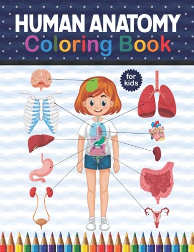 Human Anatomy Coloring Book For Kids Get To Know The Human Organs Kids Anatomy Coloring Book An Easier And Better Way To Learn Anatomy. Preschool Home School Activity About Biology. Children's Science Books.medical Anatomy Coloring Book