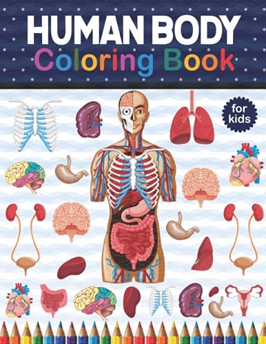 Human Body Coloring Book For Kids Human Body Coloring & Activity Book for Kids.Human Body Anatomy Coloring Book For Medical, High School Students. Anatomy Coloring Book For Kids. Human Body Coloring Book For Children Boys Girls.