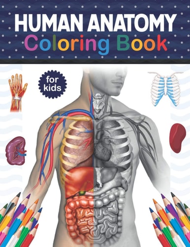 Human Anatomy Coloring Book For Kids Human Body Anatomy Coloring Book For Kids, Boys and Girls and Medical Students. Human Brain Heart Liver Coloring Book. Anatomy Coloring Book for Kids. Human Figure Anatomy Coloring Book