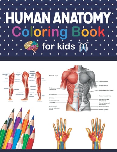 Human Anatomy Coloring Book For Kids Human Body Coloring & Activity Book for Kids. Human Body Anatomy Coloring Book For Kids, Boys and Girls and Medical Students. Human Figure Anatomy Coloring Book