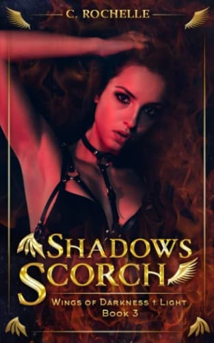 Shadows Scorch Wings of Darkness + Light Book 3