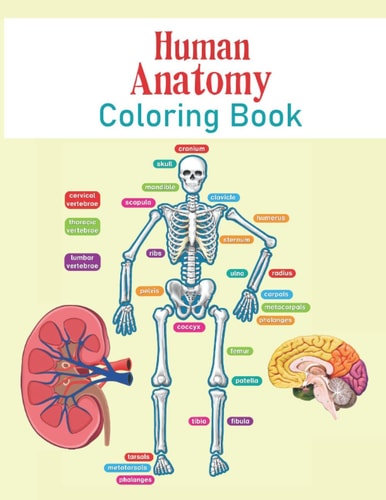 Human Anatomy Coloring Book The Human Body For Kids and Adult Gift For Your Children - Bones, Muscles, Blood, Nerves, and More for Adults, College Student - Netter's Anatomy Coloring Book & Human Body Workbook.