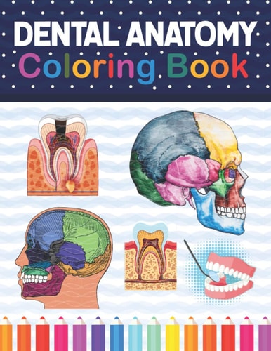Dental Anatomy Coloring Book Fun and Easy Adult Coloring Book for Dental Assistants, Dental Students, Dental Hygienists, Dental Therapists, Periodontists and Dentists. Dental Assisting Exam Review Book.