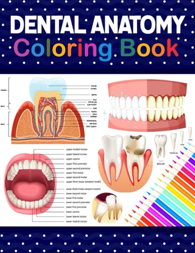 Dental Anatomy Coloring Book Learn the Basics of Dental Anatomy. Dental Anatomy Coloring Book for Cute Children's, Kids, Boys, Girls, Dental Assistants, Dental Students, Periodontists and Dentists. Anatomy Book for Dental Students.