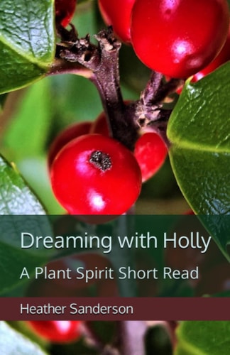 Dreaming with Holly A Plant Spirit Short Read