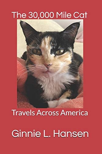 The 30,000 Mile Cat Travels Across America