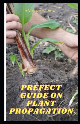 Prefect Guide on Plant Propagation All Essential Thing You Need to Know about Plant Propagation