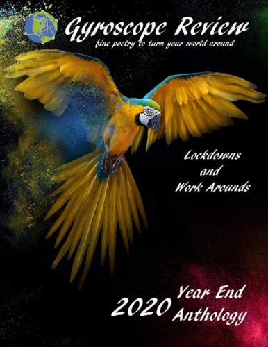 Gyroscope Review 2020 Anthology Fine Poetry to Turn Your World Around
