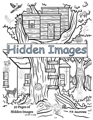 Hidden Images