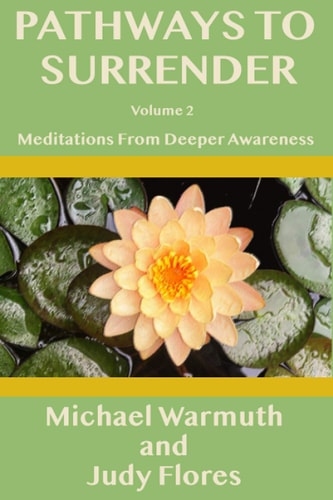 Pathways To Surrender (Volume 2) Meditations from Deeper Awareness