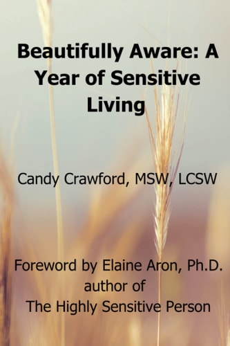 Beautifully Aware A Year of Sensitive Living