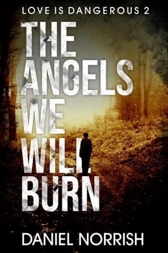 The Angels We Will Burn Love is Dangerous