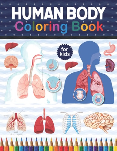 Human Body Coloring Book For Kids Human Body Anatomy Coloring Book For Kids, Boys and Girls and Medical Students. Human Brain Heart Liver Coloring Book. Human Body Student's Self-Test Coloring Book. Human Skeleton Coloring Book for Kids.