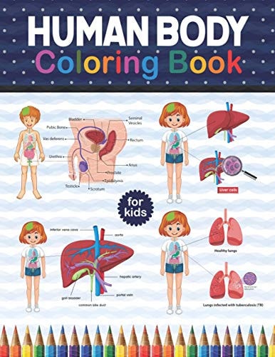 Human Body Coloring Book For Kids Human Body Student's Self-Test Coloring Book. Human Body Anatomy Coloring Book For Kids, Boys and Girls. Great Gift For Kids Ages 4, 5, 6, 7, And 8 Years Old. Physiology Muscles, Bones, Skeleton Student Anatomy Book.