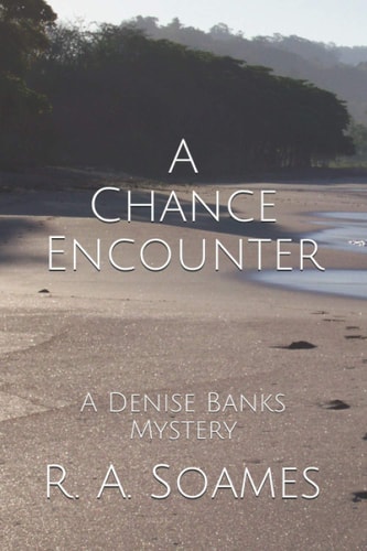 A Chance Encounter A Denise Banks Mystery