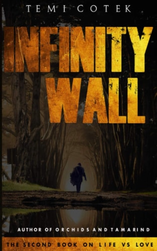 Infinity Wall The Second Book on Life Vs Love