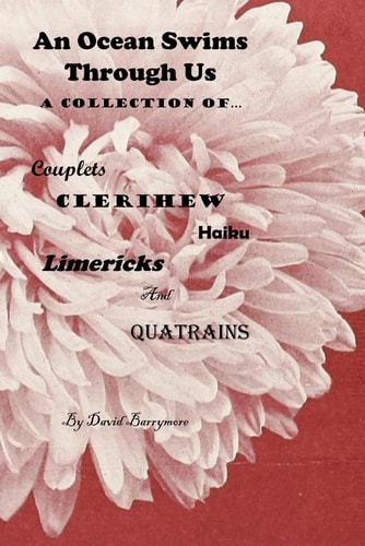 An Ocean Swims Though Us A Collection of Couplets Clerihew Haiku Limericks and Quatrain