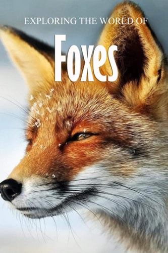Exploring the World of Foxes Educational Animals Book For Kids