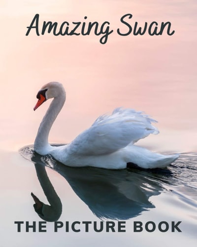 Amazing Swan The Picture Book of Swan Great for Alzheimer's Patients and Seniors with Dementia.