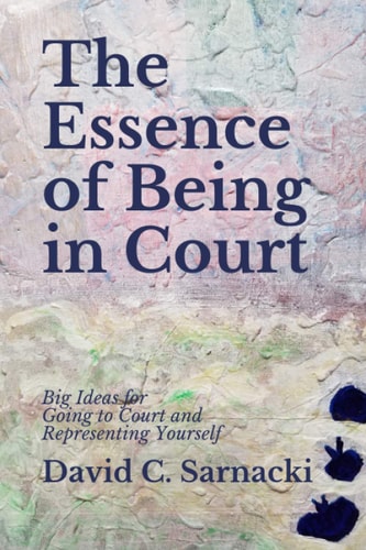 The Essence of Being in Court Big Ideas for Going to Court and Representing Yourself