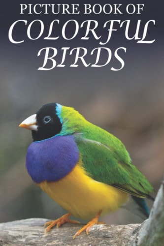 Picture Book of Colorful Birds For Seniors with Dementia (Large Text) [Best Gifts for People with Dementia]