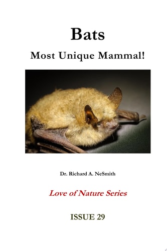 Bats: Most Unique Mammal!