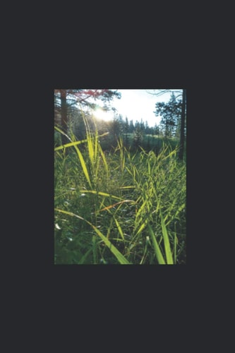 Lilies in the Weeds A Journey from Heartbreak to New Love