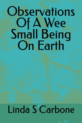Observations Of A Wee Small Being On Earth