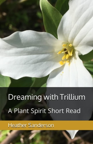 Dreaming with Trillium A Plant Spirit Short Read