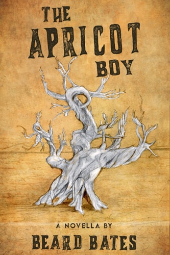 The Apricot Boy A Novella