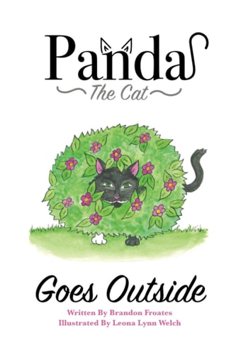 Panda The Cat Goes Outside