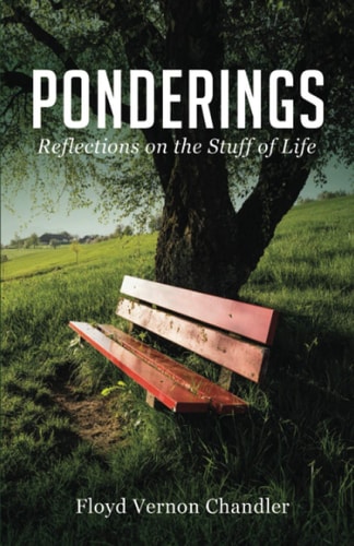Ponderings Reflections on the Stuff of Life