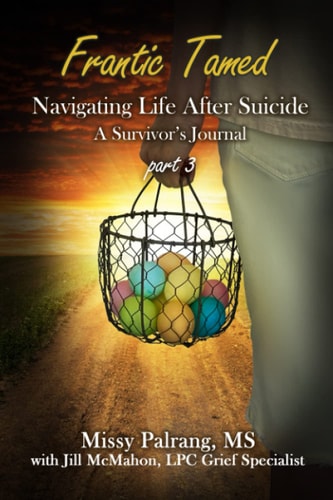 Frantic Tamed Navigating Life After Suicide A Survivor's Journal Part 3