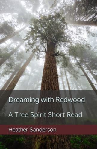 Dreaming with Redwood A Tree Spirit Short Read