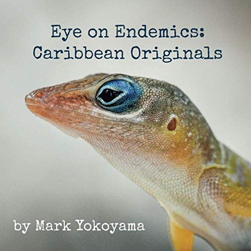 Eye on Endemics Caribbean Originals