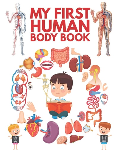 My First Human Body Book The Human Body For Children, Look Inside Your Body.