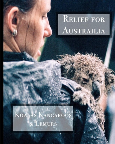 Relief for Australia Koalas Kangaroos & Lemurs
