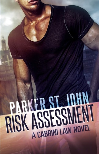 Risk Assessment A Cabrini Law Novel