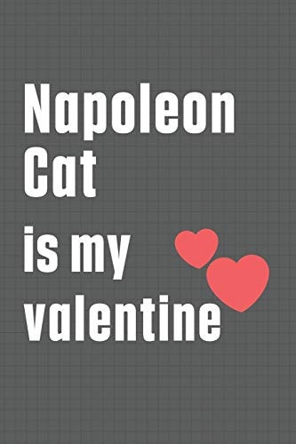 Napoleon Cat is My Valentine For Napoleon Cat Fans