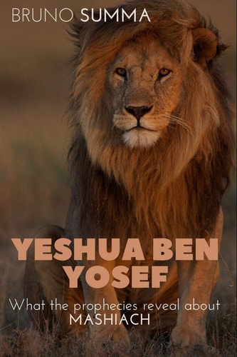 Yeshua Ben Yosef What the Prophecies Reveal about MASHIACH