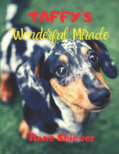 Taffy's Wonderful Miracle Story AN EASY READER CHILDREN'S STORY & COLORING BOOK about a Silver Dapple Dachshund's Adventures and a Great Miracle Too!
