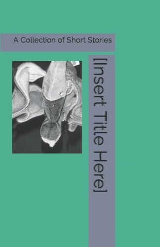 [Insert Title Here] A Collection of Short Stories